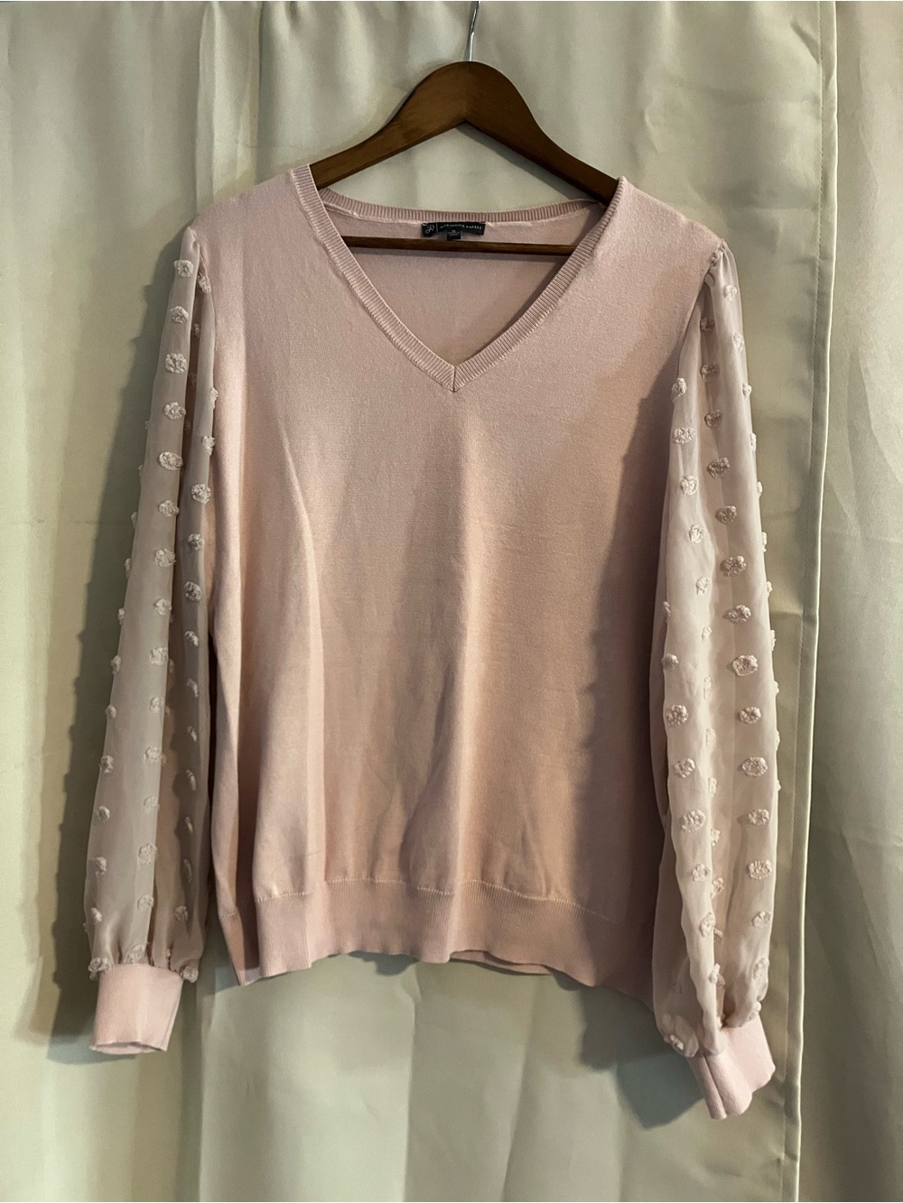 Adrianna Papell Blush Pink V-Neck Sweater with Sheer Dotted Sleeves